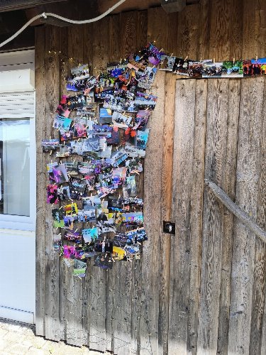 Photos
